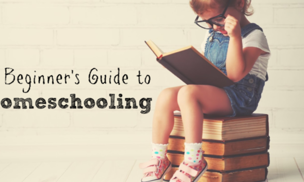 A Beginner’s Guide to Homeschooling
